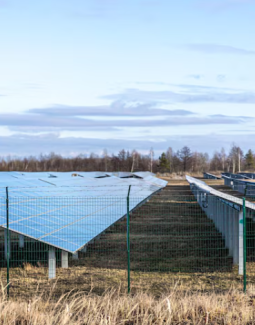  Dispositifs d'obligation d'achat et complément de rémunération dont peuvent bénéficier les installations de production d'électricité utilisant des énergies renouvelables